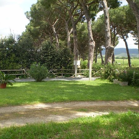 Agriturismo Ternova Alberese Exterior photo