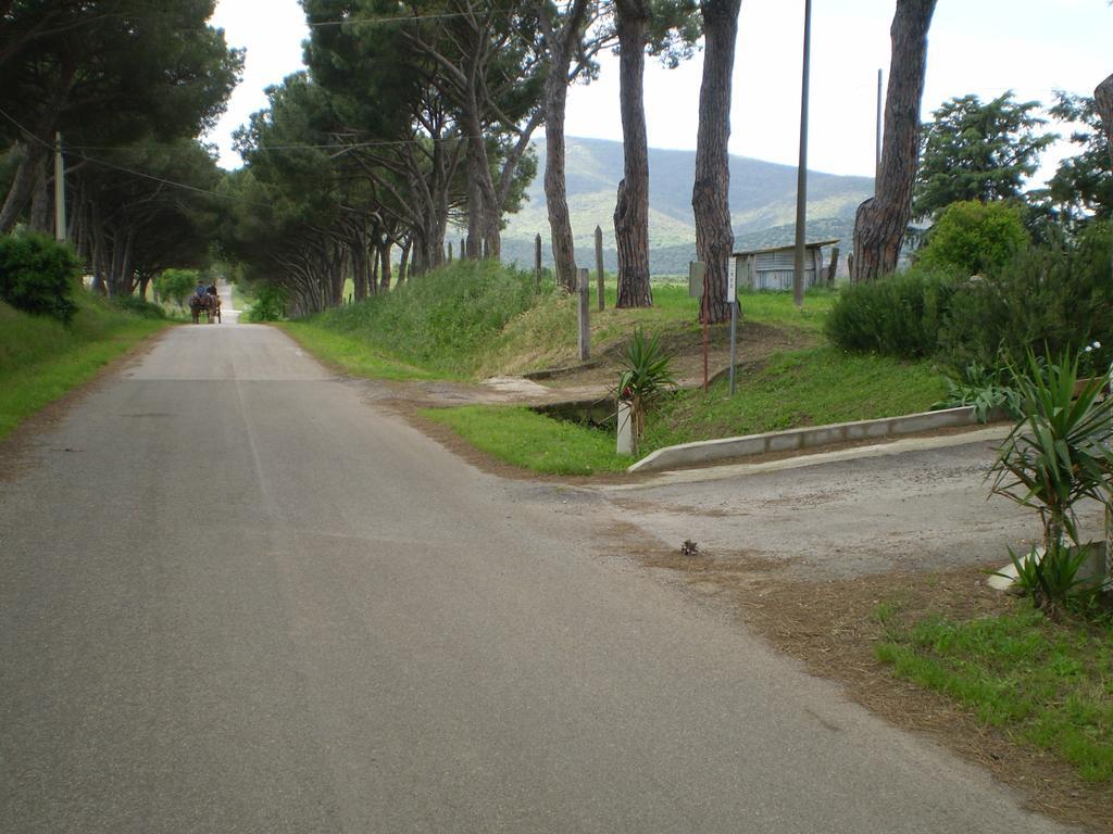 Agriturismo Ternova Alberese Exterior photo