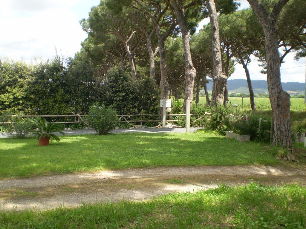Agriturismo Ternova Alberese Exterior photo